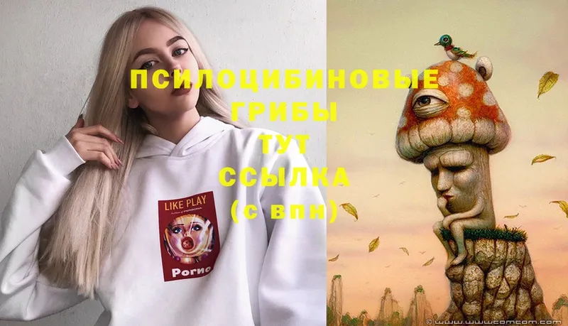 Псилоцибиновые грибы прущие грибы  Буй 